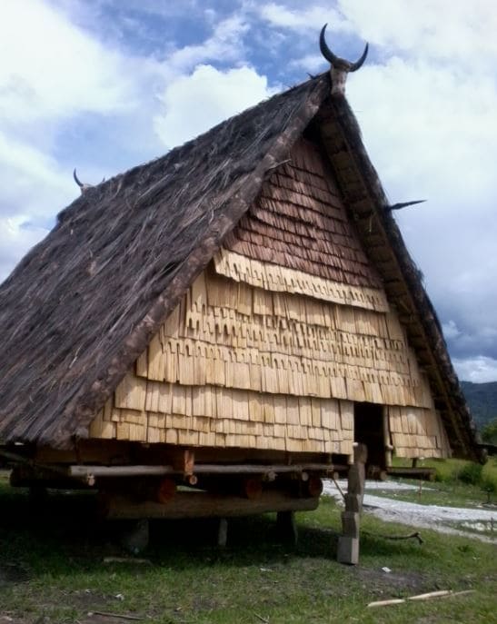 Ornamen Atap Rumah Adat Tambi