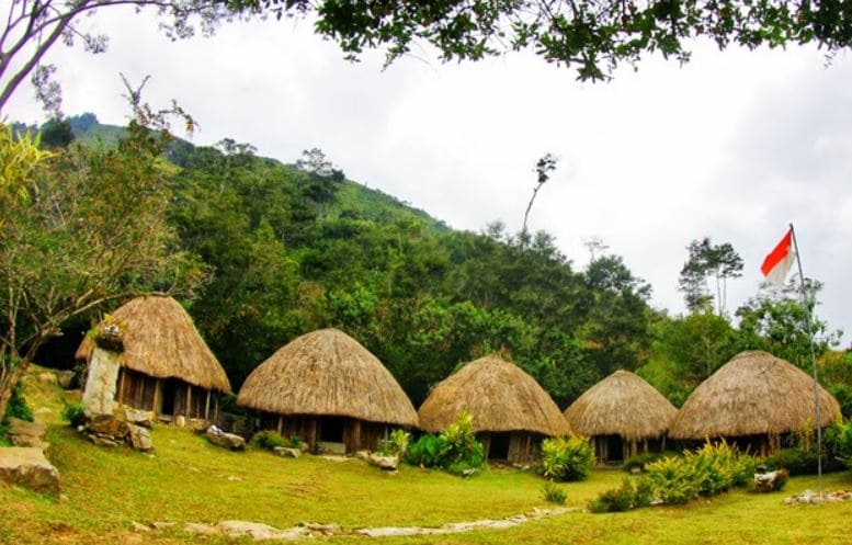 Rumah Adat Honai