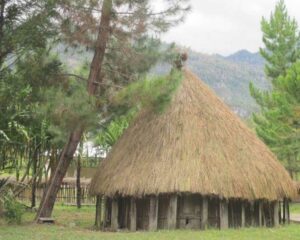 Rumah Adat Honai Papua