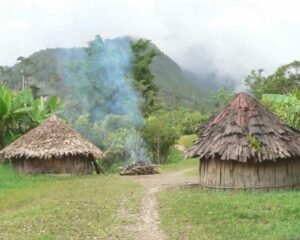 Rumah Adat Papua