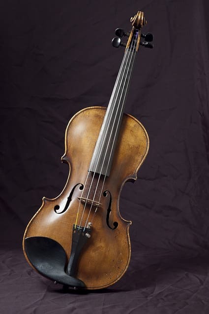 Alat Musik Biola Makoa Acoustic Violin