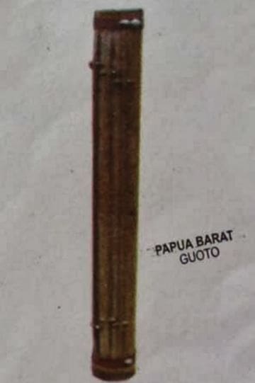 Gambar Alat Musik Guoto