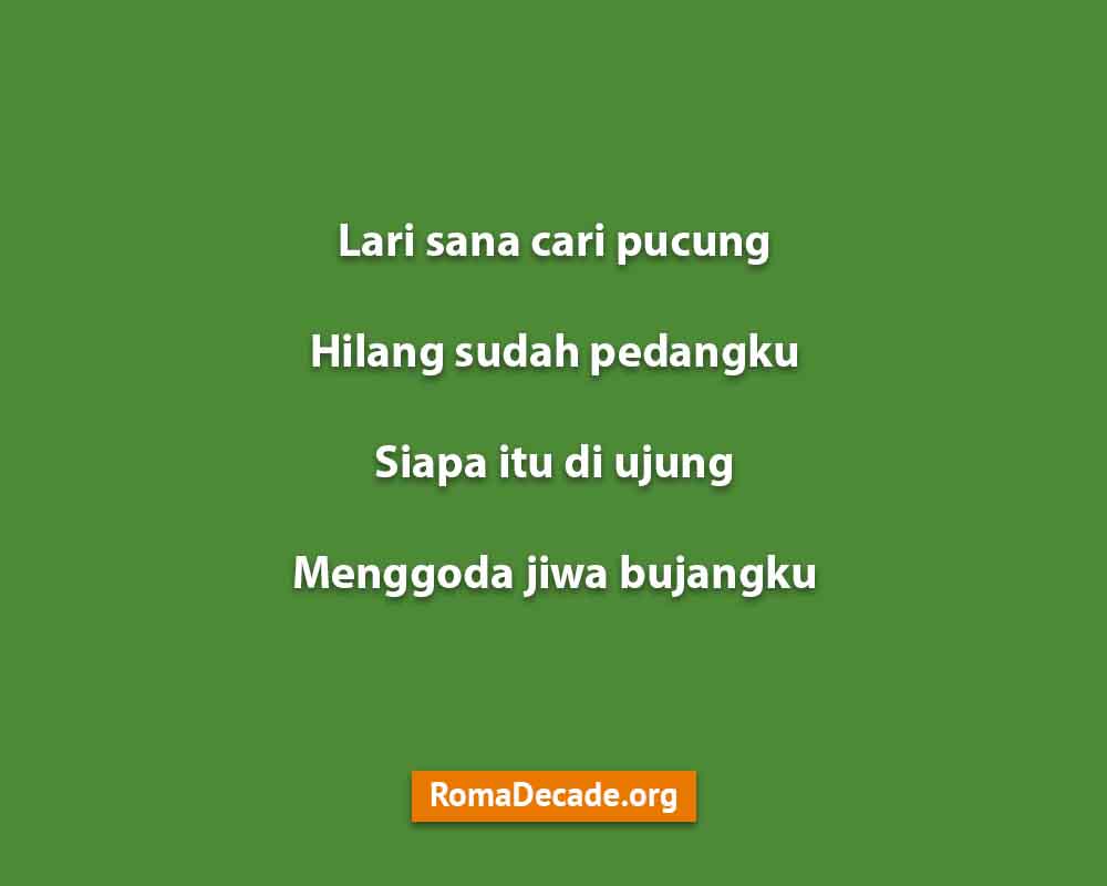 Pantun Janda Yang Gokil