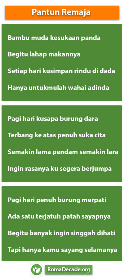 Pantun Remaja