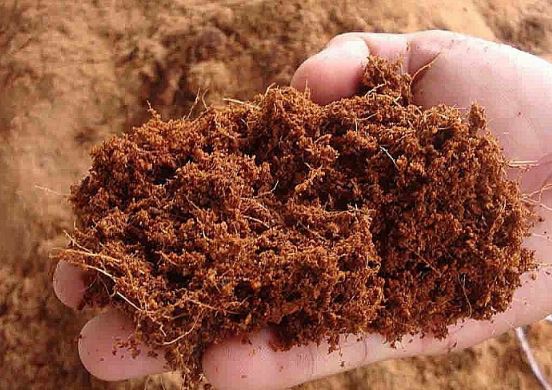 Kerajinan Cocopeat Dari Sabut Kelapa