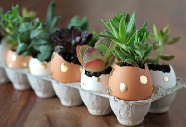 Kerajinan Miniatur Kebun Dari Kulit Telur