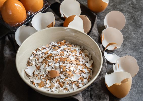 Manfaat Kerajinan Dari Kulit Telur