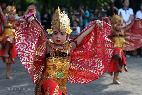 Fungsi Tari Manuk Rawa