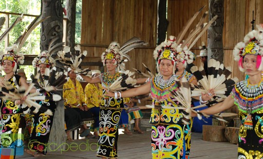 Tarian Dayak